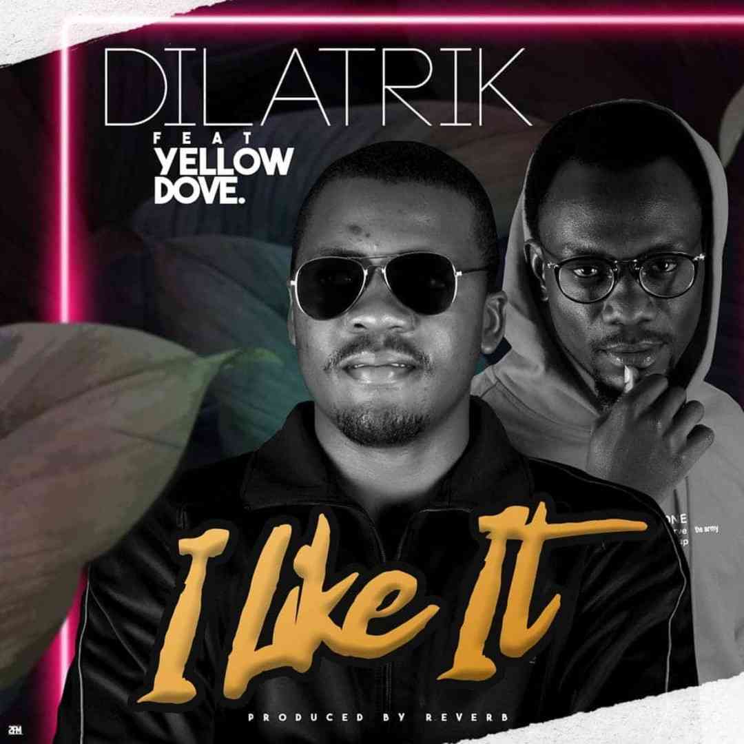 Dilatrik ft. Yellow Dove – “I Like It”