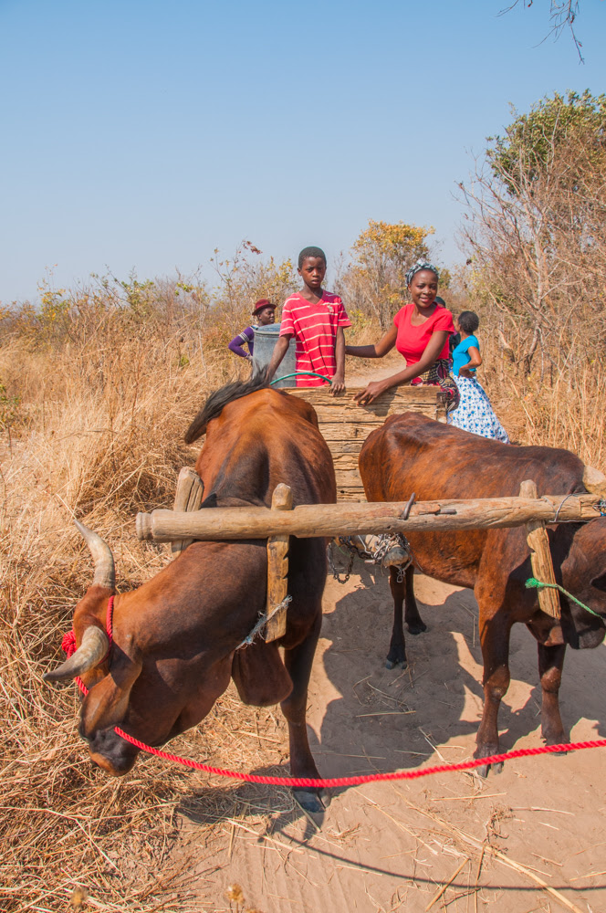 damyna-the-musical-1