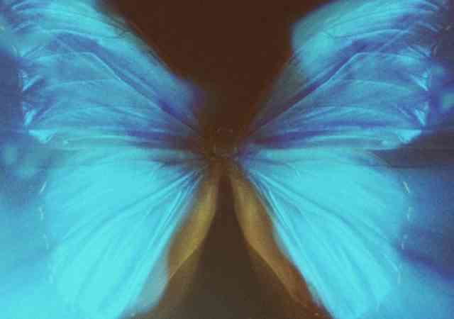 Sheliky Butterfly Wings Costume Shawl Halloween Cosutme Mask for Girls Pretend Play Party Favors